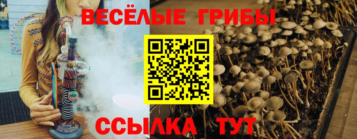 Галлюциногенные грибы ЛСД Саранск