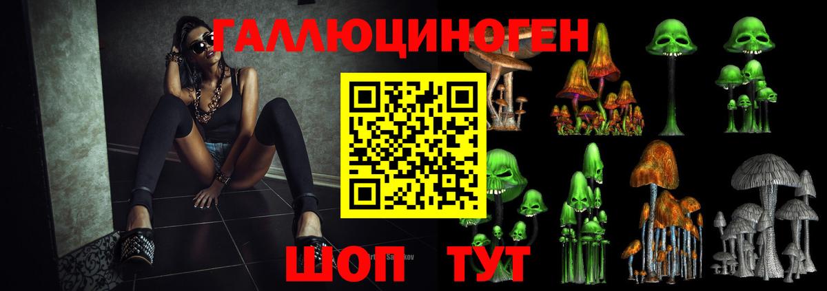 Саранск  Галлюциногенные грибы мицелий  Вход с VPN  Псилоцибиновые грибы GOLDEN TEACHER 